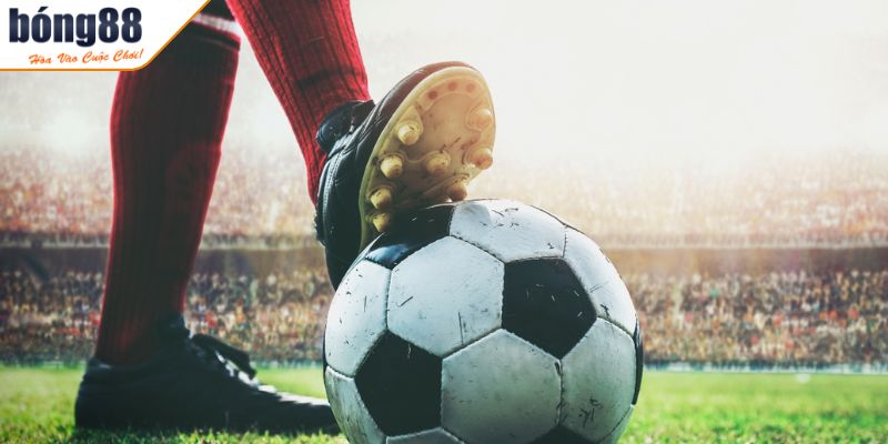 Tìm hiểu khái quát về cá cược bóng đá BONG88