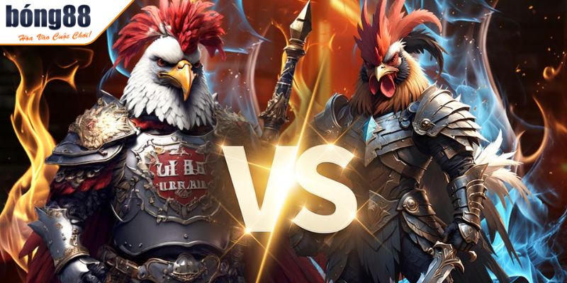 Tổng quan về Đá Gà BONG88