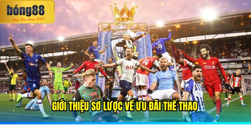 Giới thiệu sơ lược về ưu đãi thể thao